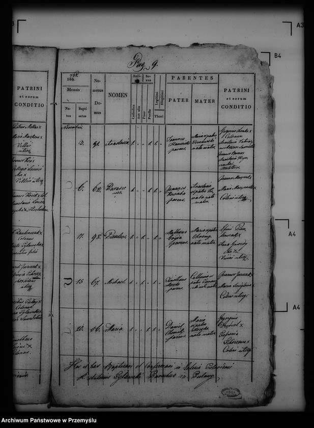 Obraz 13 z jednostki "[Kopie ksiąg metrykalnych parafii Puławy (dekanat Buków)]"