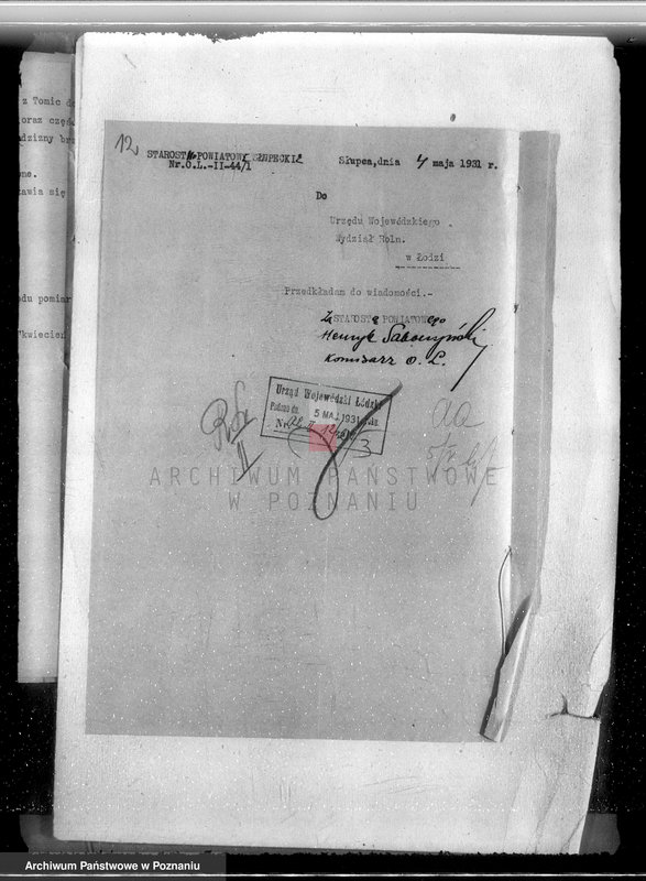 Obraz 16 z jednostki "Gmina Szyminowice powiat koniński /nadzór nad gospodarką leśną/"