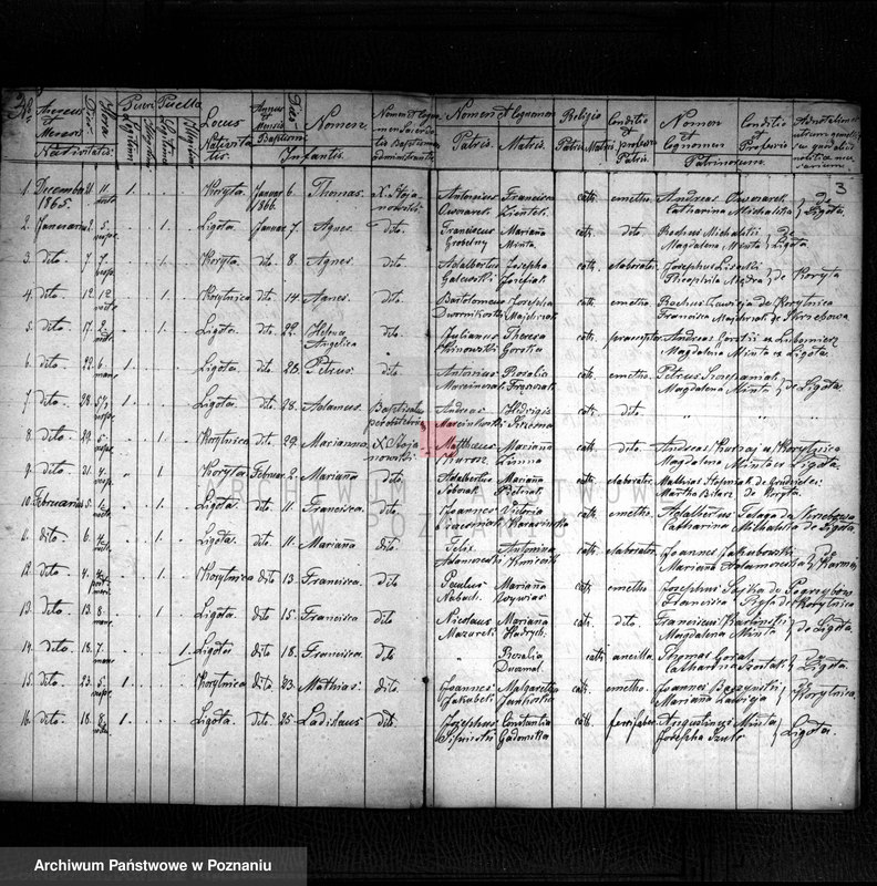image.from.unit.number "Liber baptisatorum"