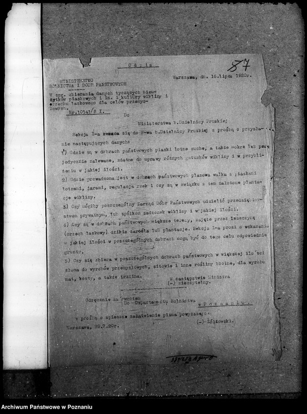 Obraz 11 z jednostki "Nieużytki rolne"