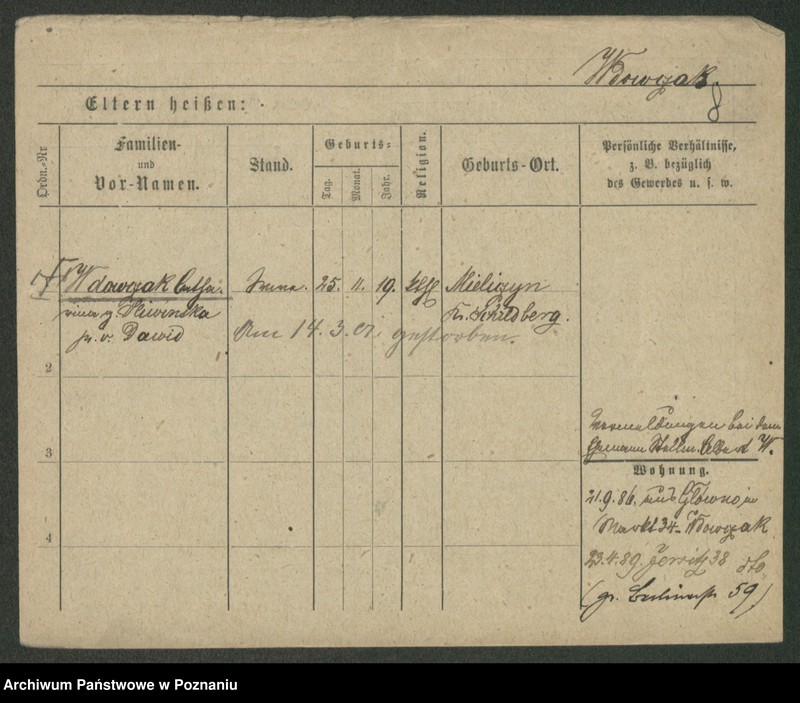 Obraz 20 z jednostki "Wdowczyk - Weber"