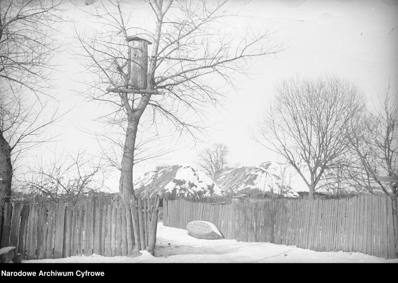 image.from.collection.number "Bartnictwo że Ho! Ho!111"