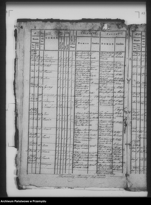 Obraz 9 z jednostki "[Kopie ksiąg metrykalnych parafii Żabcze Murowane z filią Bezejów (dekanat Bełz)]"