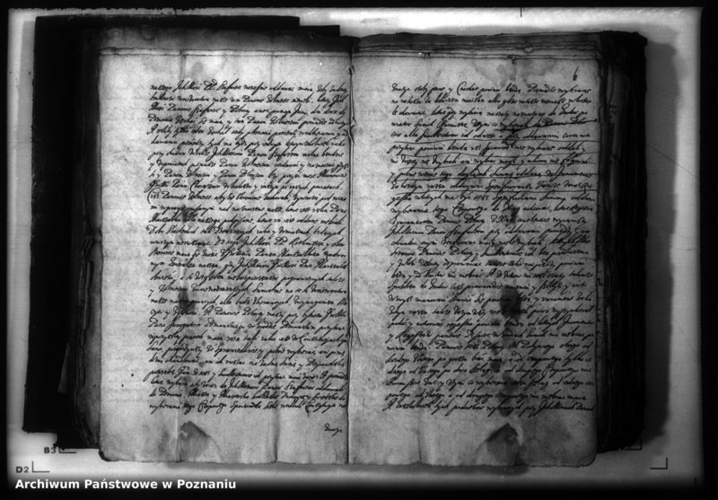 Obraz 9 z jednostki "Lauda [acticantia]"