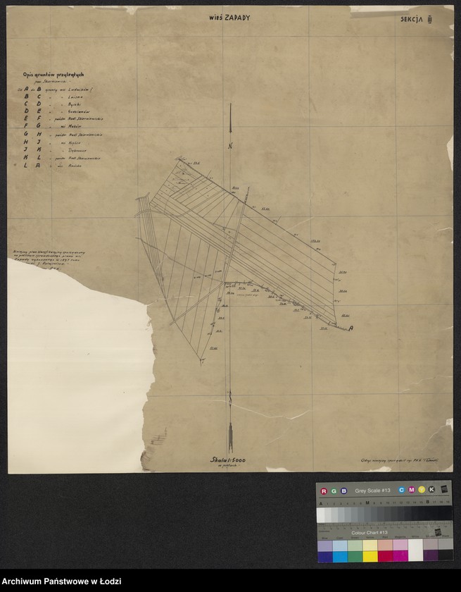 Obraz 1 z jednostki "Plan gruntów wsi Zapady w powiecie skierniewickim"
