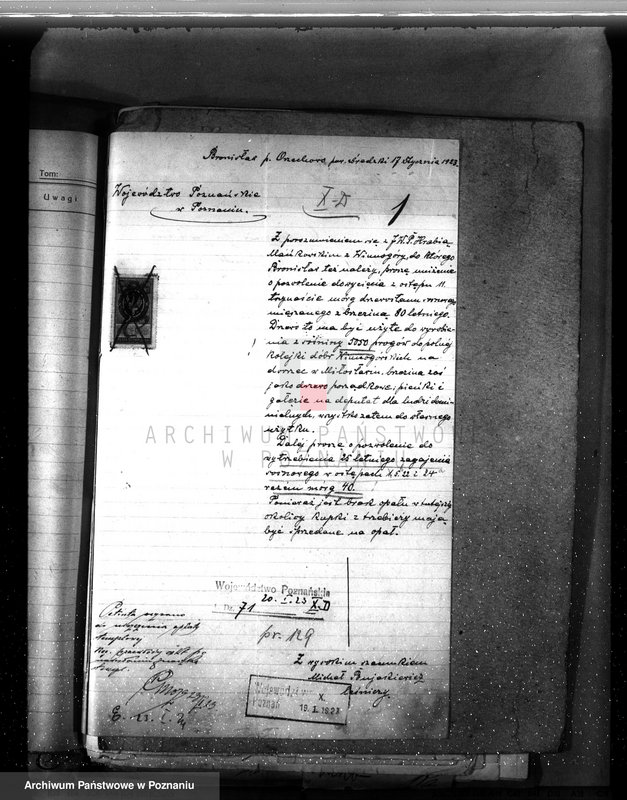 Obraz 5 z jednostki "Nadzór nad gospodarką w lasach majętności Bronisław"