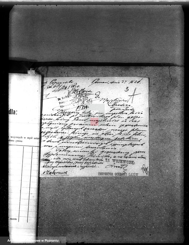 Obraz 7 z jednostki "Majętność leśna Brodowo powiat średzki"