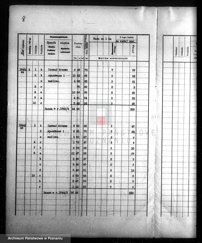 Obraz 12 z jednostki "/Las majątku Wielichowo/"