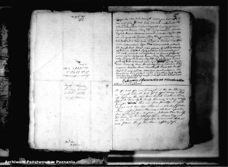 Obraz 8 z jednostki "Relationes [protocollon]"