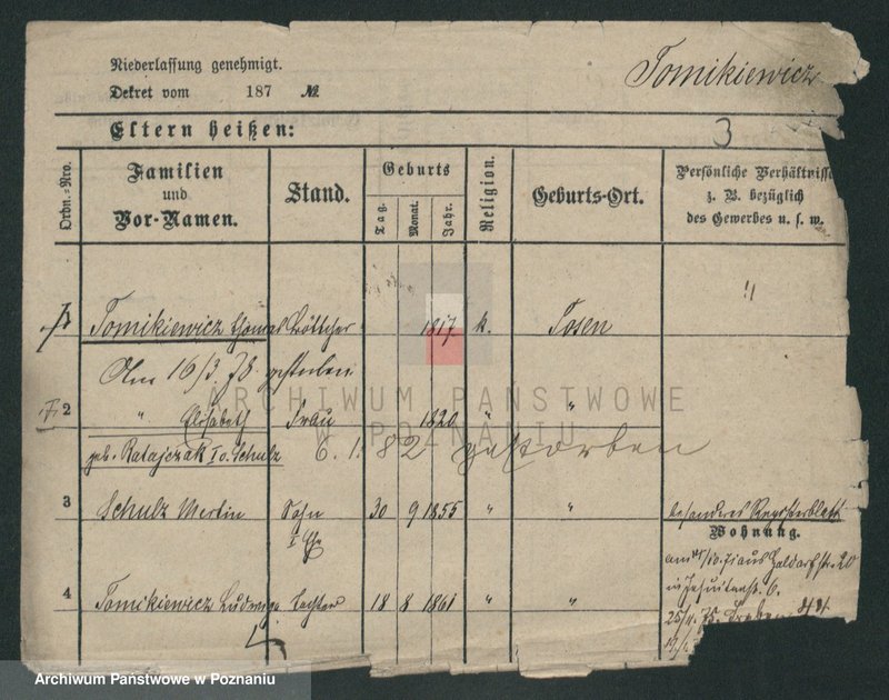 Obraz 9 z jednostki "Tomkiewicz - Tondel"