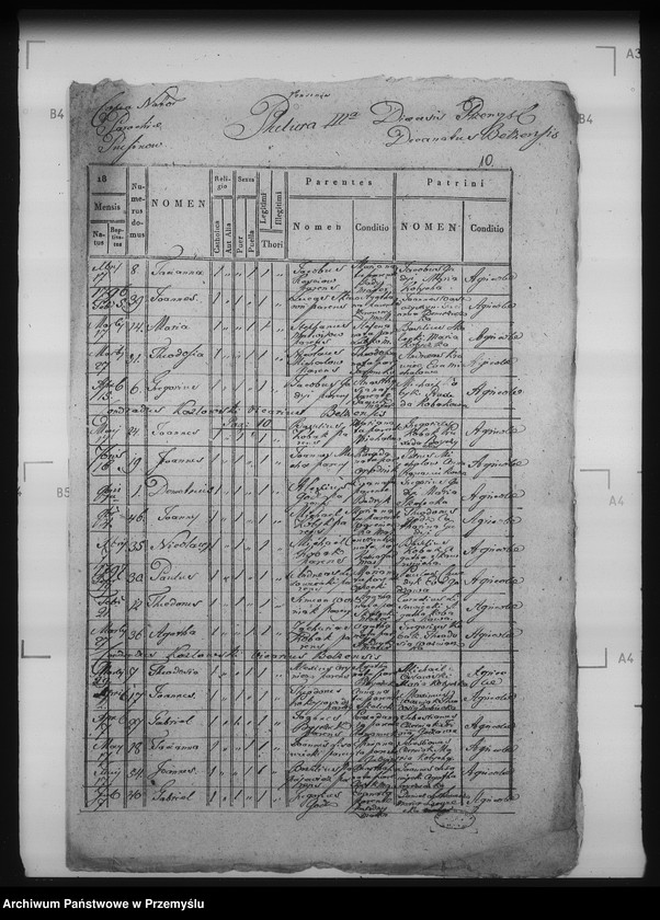 Obraz 14 z jednostki "[Kopie ksiąg metrykalnych parafii Bełz z filiami Prusinów, Tuszków, Witków (dekanat Bełz)]"