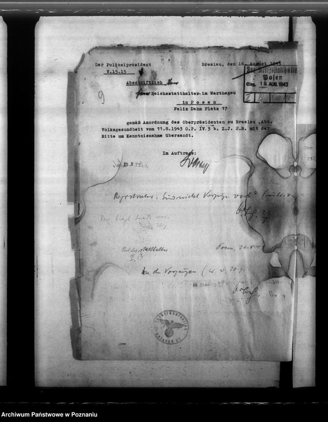 Obraz 13 z jednostki "Zahnärzte"