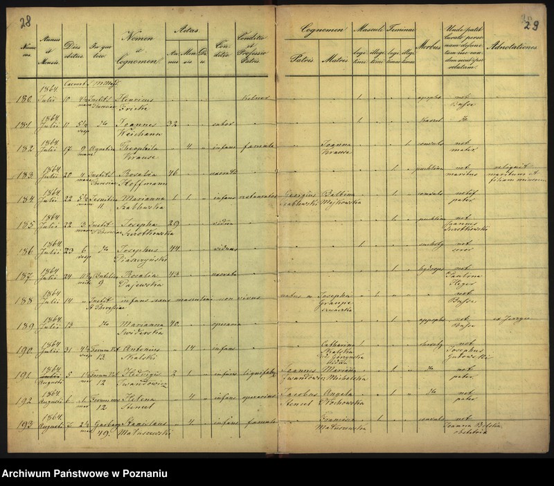 Obraz 17 z jednostki "Księga zgonów"