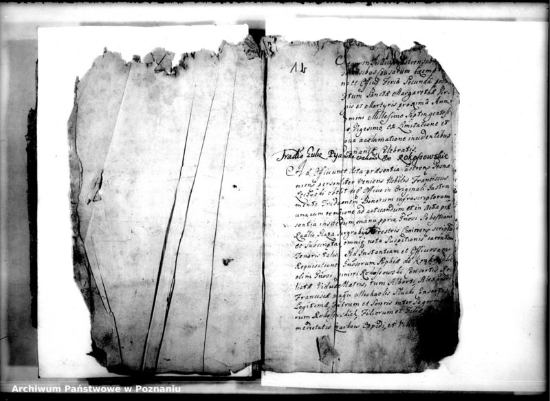 Obraz 5 z jednostki "Relationes [protocollon]"