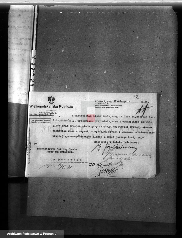 Obraz 15 z jednostki "Majętność leśna Wronczyn-Pomarzanowice powiat poznański"