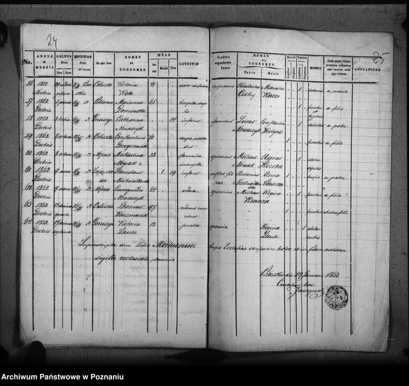 Obraz 16 z jednostki "Duplicat baptisatorum, copulatorum, mortuorum"