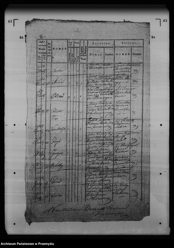 Obraz 20 z jednostki "[Kopie ksiąg metrykalnych parafii Krynica (dekanat Medenice)]"