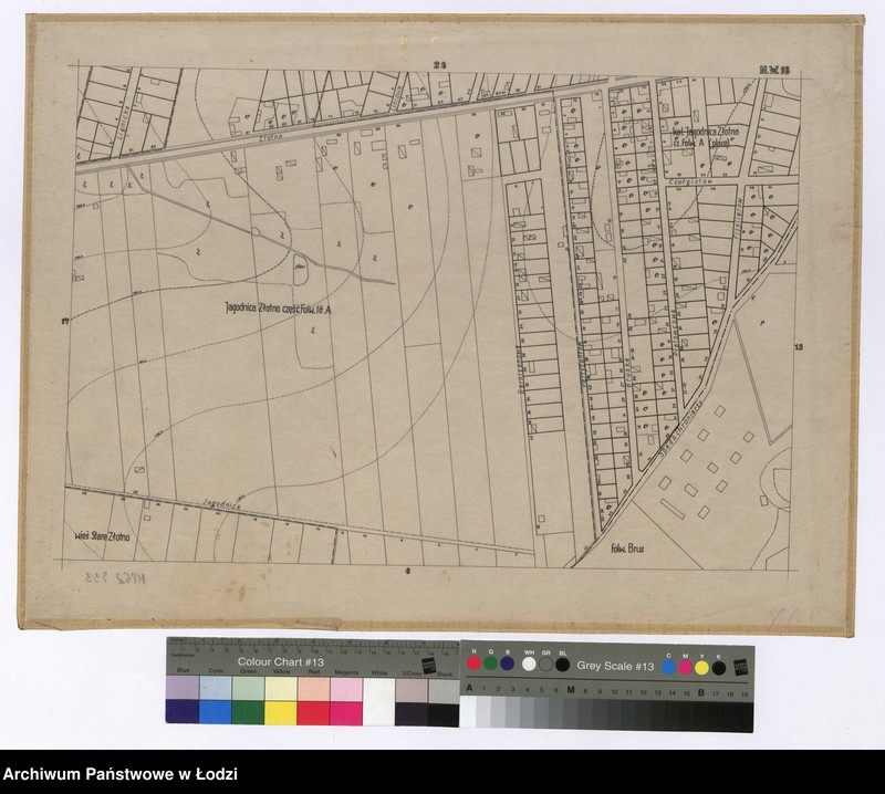 Obraz 1 z jednostki "Mapa sytuacyjno-wysokościowa Łodzi sekcja NW16 - ul.: Liniowa, Złotno, Garnizonowa, partyzantów, Bruska, Płatowcowa, Czołgistów, Fizylierów, Spadochroniarzy, Jagodnica"