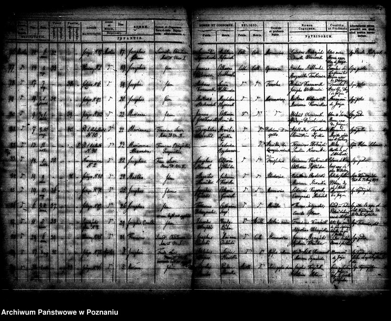 Obraz 10 z jednostki "Księga urodzin"