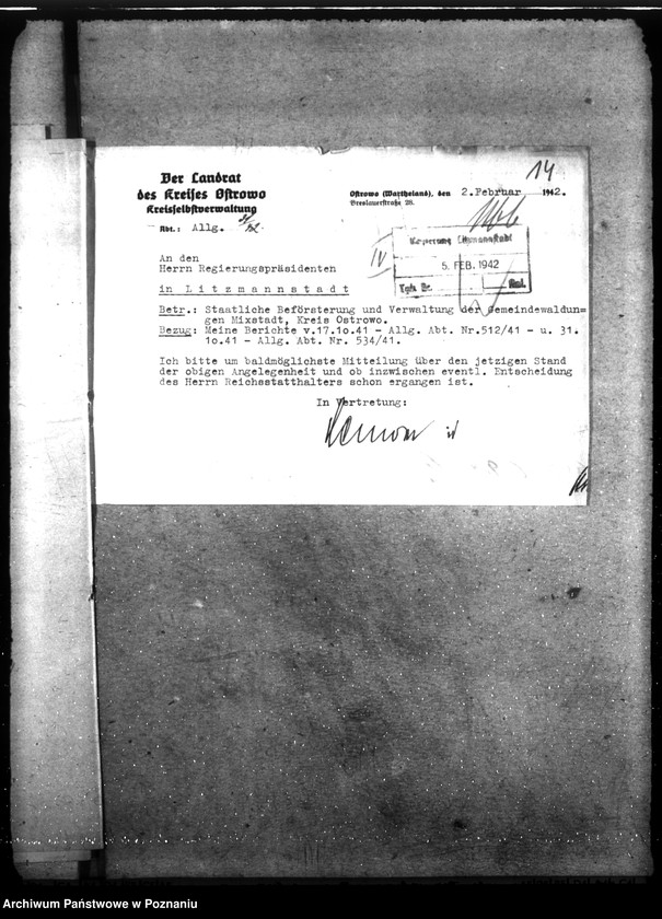 Obraz 18 z jednostki "Zarządzanie i gospodarowanie lasami gminnymi"