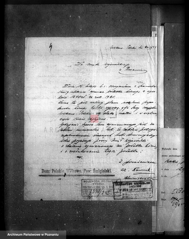 Obraz 8 z jednostki "Majętność /leśna/ Wilkowo Polskie powiat kościański"