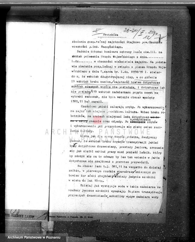 Obraz 18 z jednostki "Nadzór nad gospodarką leśną w lasach majętności Stajkowo powiecie czarnkowskim"