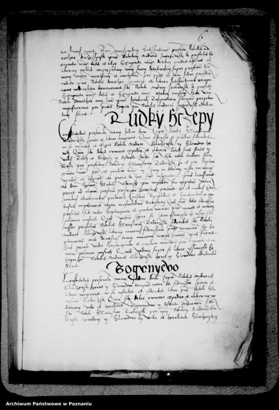 Obraz 13 z jednostki "Inscriptiones, relationes, decreta [inducta]"