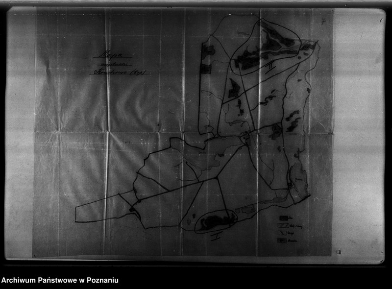 Obraz 11 z jednostki "/Majętność leśna Ruchowo powiat mogileński/"