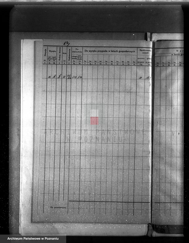 image.from.unit.number "Plan urządzenia gospodarstwa leśnego dla lasu majętności Biezdrowo powiat szamotulski"