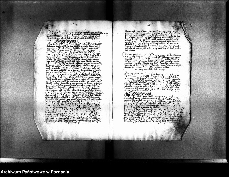 Obraz 11 z jednostki "Inscriptiones, relationes, decreta [inducta]"