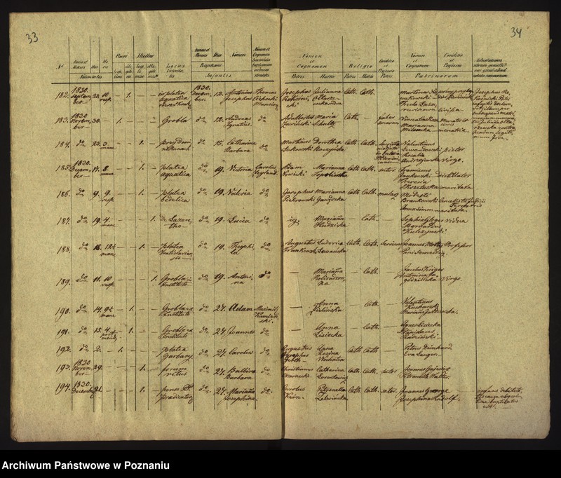 Obraz 20 z jednostki "Księga urodzin"