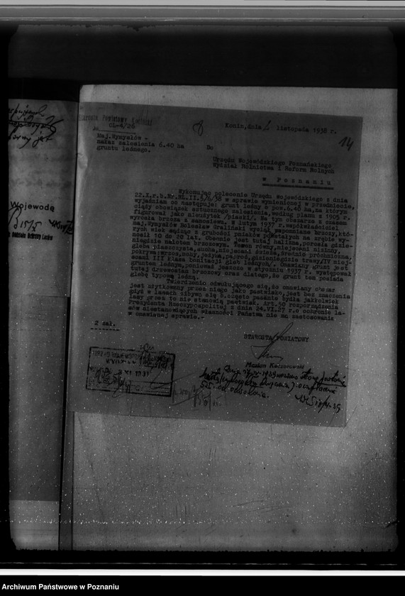 Obraz 18 z jednostki "Gmina Wymysłów powiat koniński /nadzór nad gospodarką leśną/"