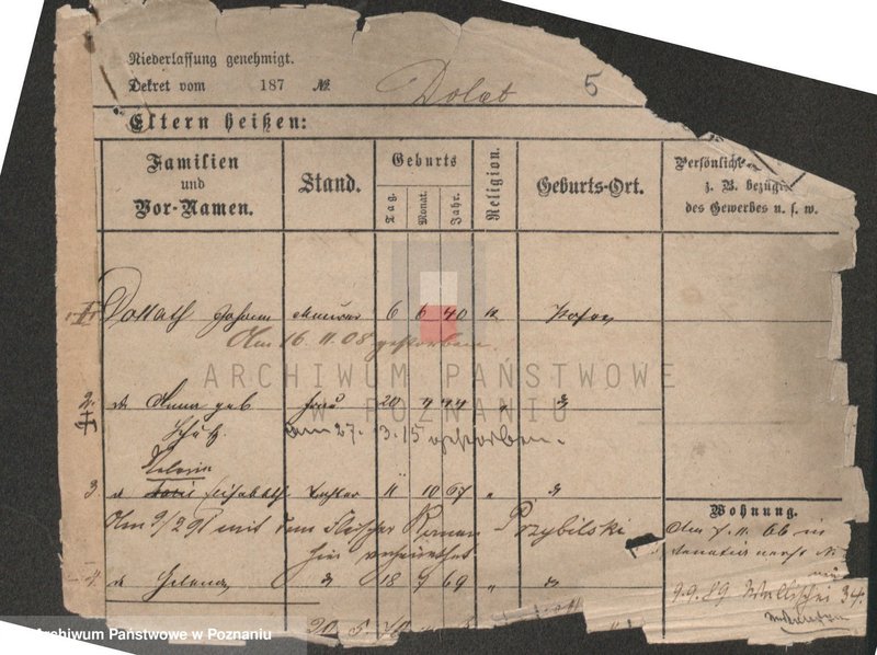 Obraz 7 z jednostki "Dolata - Dolt"