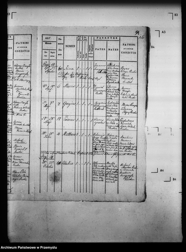 Obraz 20 z jednostki "[Kopie ksiąg metrykalnych parafii Czyrna z filią Piorunka (dekanat Grybów)]"