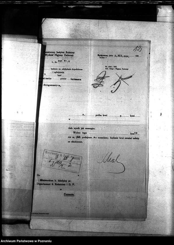 Obraz 16 z jednostki "Nosacizna - Lubawa"