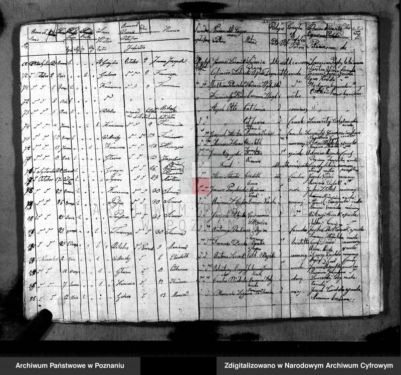 image.from.unit.number "Duplikat baptisatorum, copulatorum, mortuorum"