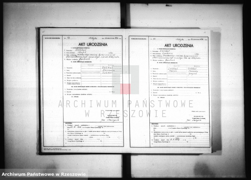 image.from.unit.number "Akta urodzeń Jawornik 1894-1903"