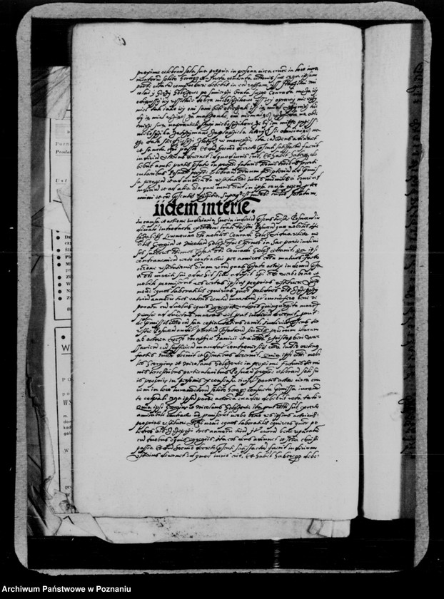 Obraz 14 z jednostki "Inscriptiones, relationes, decreta [inducta]"