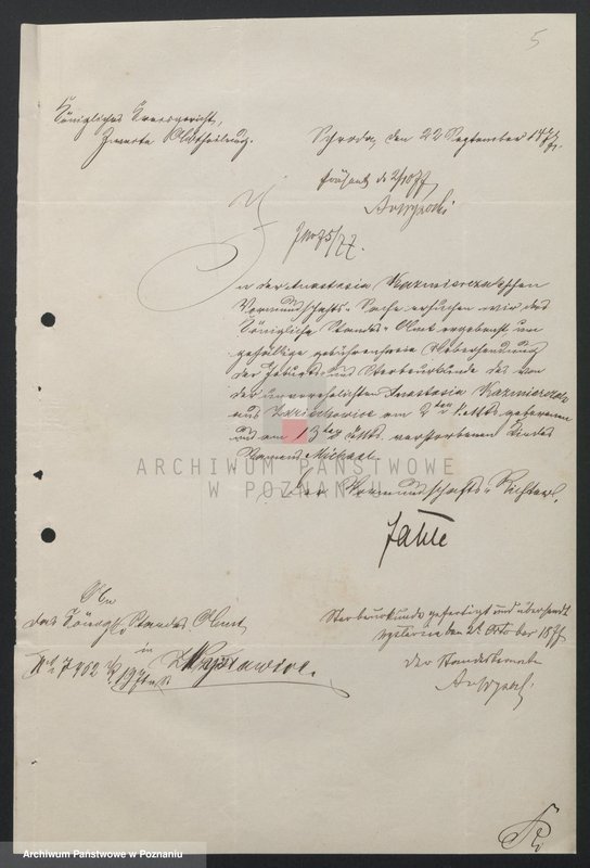 image.from.unit.number "Acta betreffend der Sammel Akten für schriftliche Gesuche oder Requisitionen um Ertheilung von Auszügen aus den Sterbe-Registern"