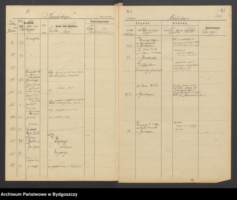 image.from.unit.number "Dziennik Komendy Powiatowej Straży Obywatelskiej w Brodnicy za rok 1921"