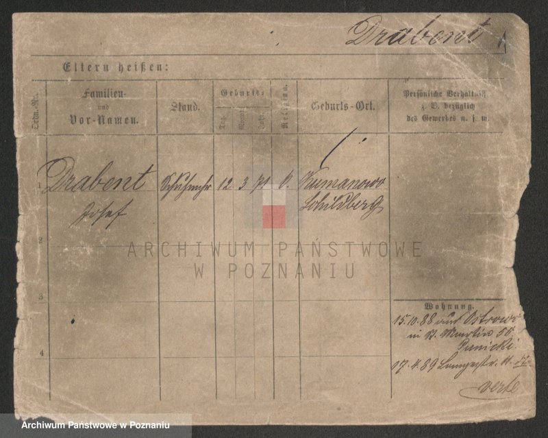 Obraz 3 z jednostki "Dornat - Drachowski"