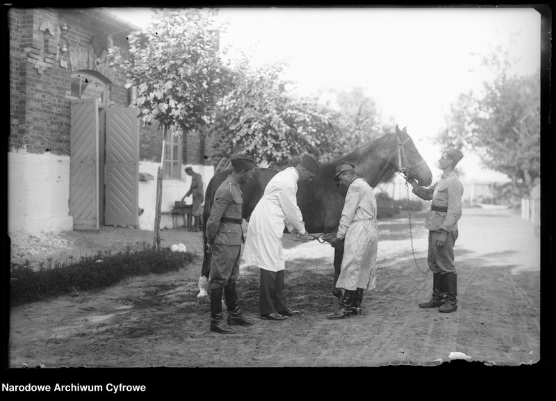 image.from.unit.number "7 Pułk Ułanów Lubelskich"