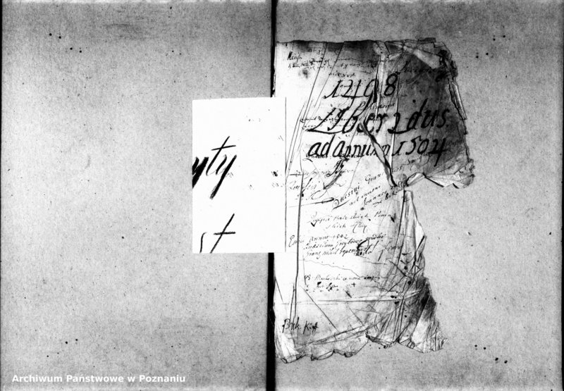 Obraz 5 z jednostki "Inscriptiones, relationes, decreta [inducta]"