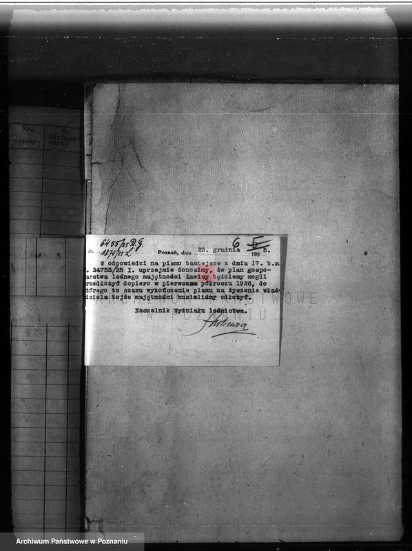 Obraz 10 z jednostki "Majętność leśna Ławica w powiecie międzychodzkim /nadzór nad gospodarką leśną/"