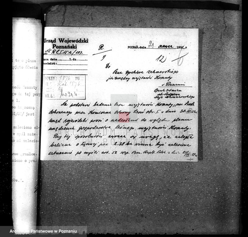 Obraz 16 z jednostki "Nadzór nad gospodarką w lasach majętności Koszuty powiat średzki"