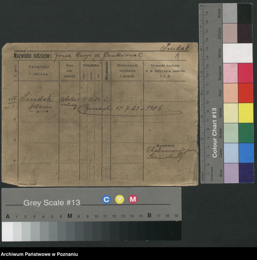 Obraz 6 z jednostki "Siudak - Sjögren"