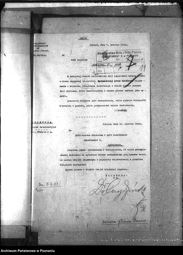 Obraz 15 z jednostki "Zaraza płucna - Rawicz"