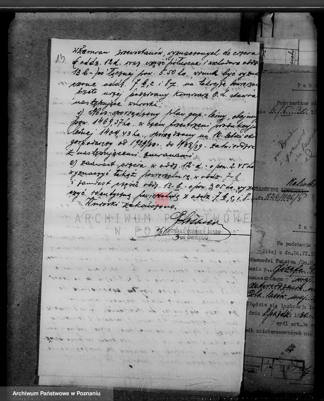 Obraz 18 z jednostki "Lasy majątku Brudzew w powiecie kaliskim"