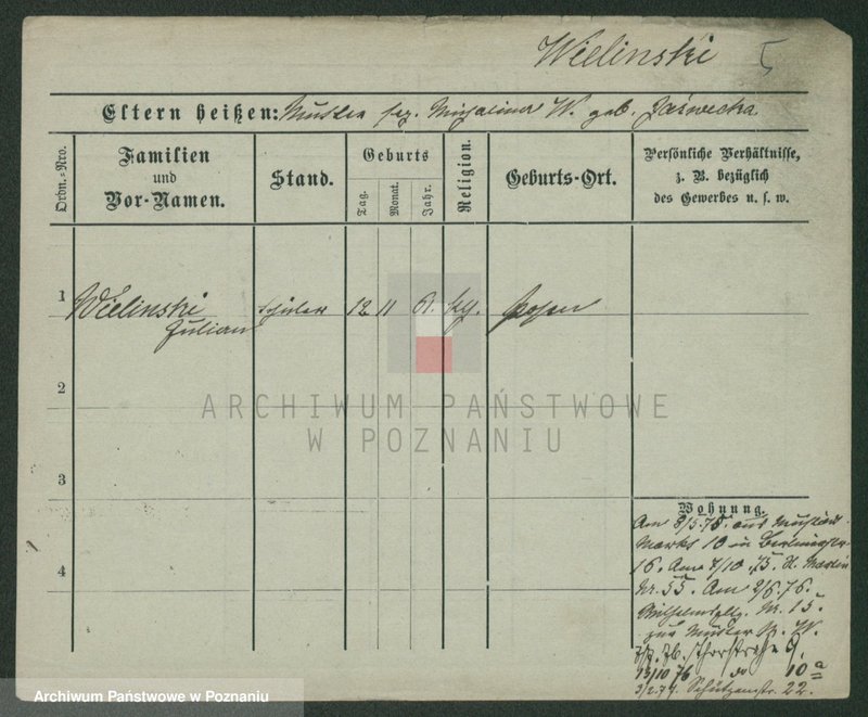 Obraz 13 z jednostki "Wieczorkiewicz - Wiertel"