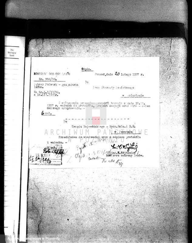 image.from.unit.number "Las Dębowy Folwark powiat wolsztyński"